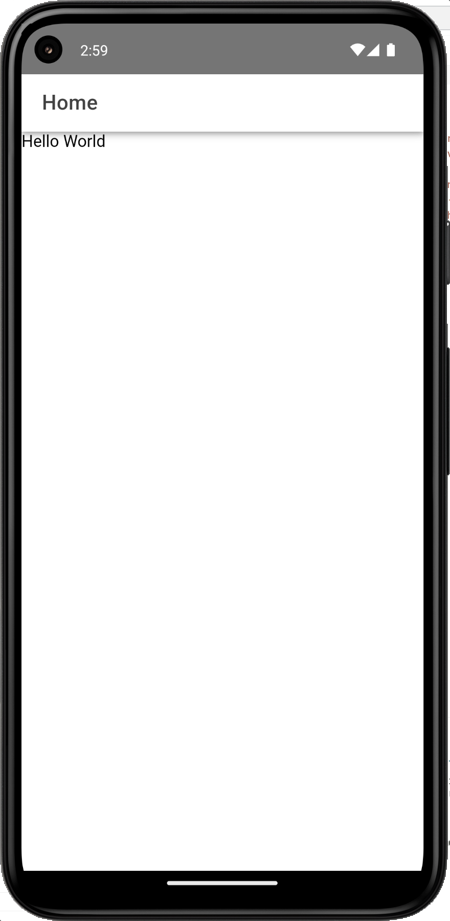 nuxt-ionic-local-development-6